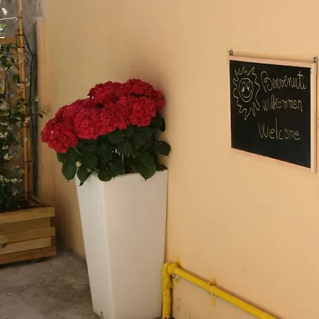 Casa Sangion * 카오를레